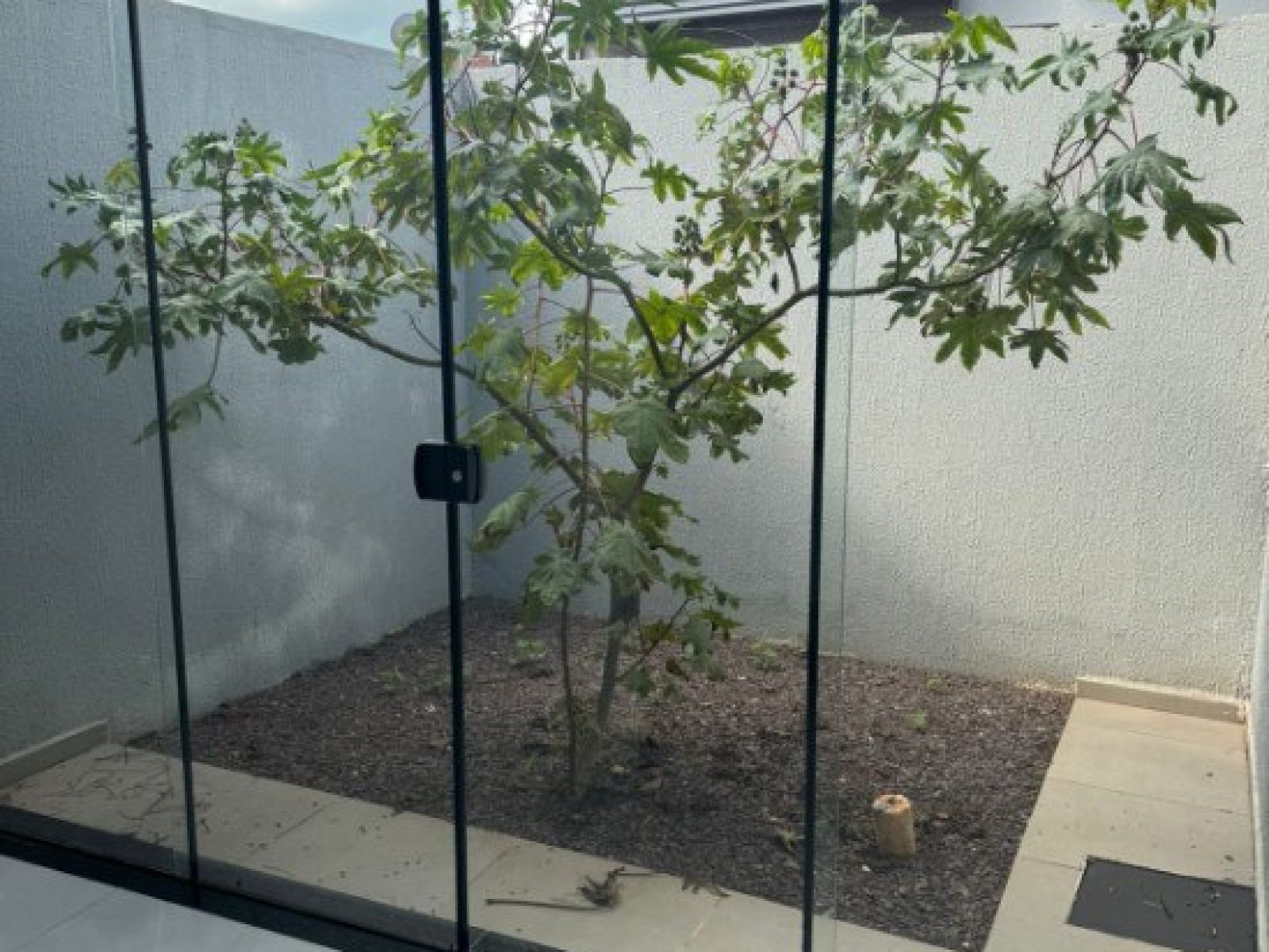 Casa Residencial Vieira da Silva II | 8