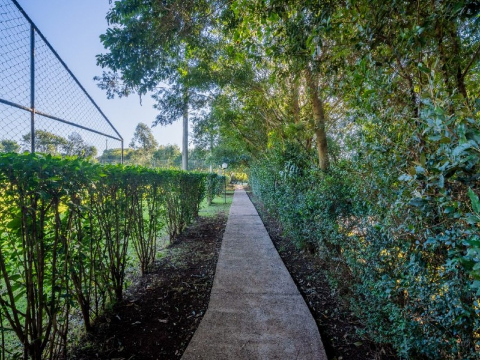 Jardim Botânico | 13