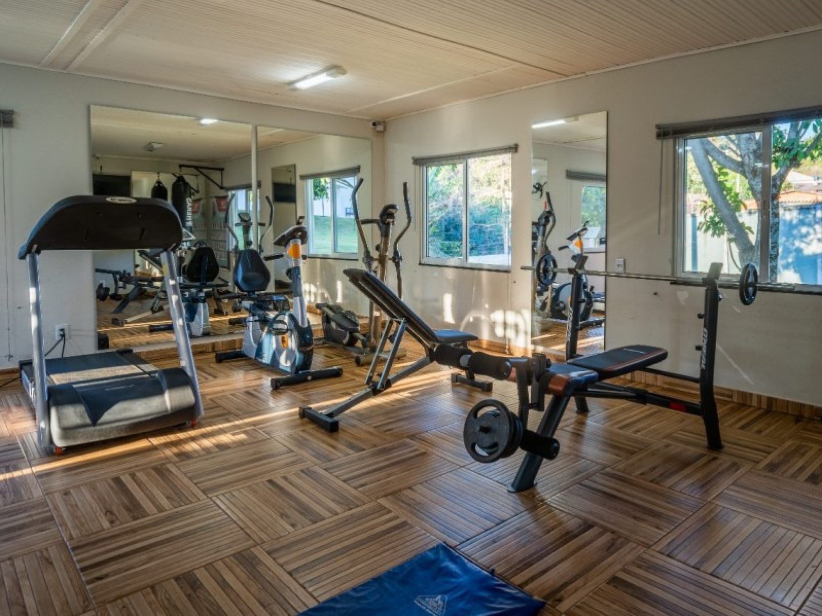 Jardim Botânico | 6